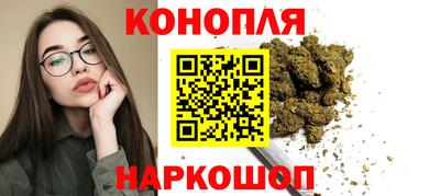 сатива Коммунар